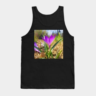 Purple Crocus Close Up Tank Top